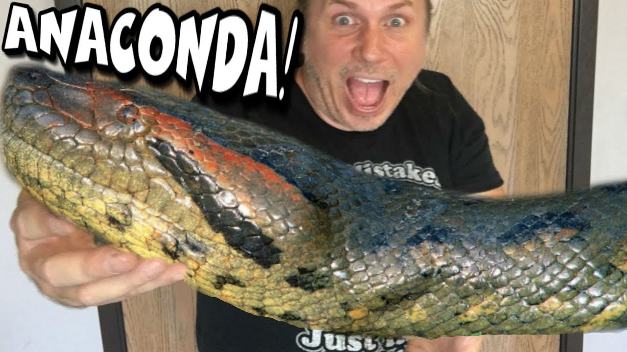 I FINALLY GOT AN ANACONDA!!! | BRIAN BARCZYK