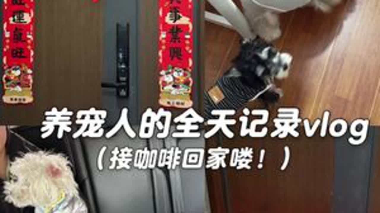 vlog.078 | 养宠人的全天记录，今天接咖啡回家啦！#vlog日常 #宠物日常vlog #雪纳瑞 #萌宠出道计划 #十亿流量扶持计划