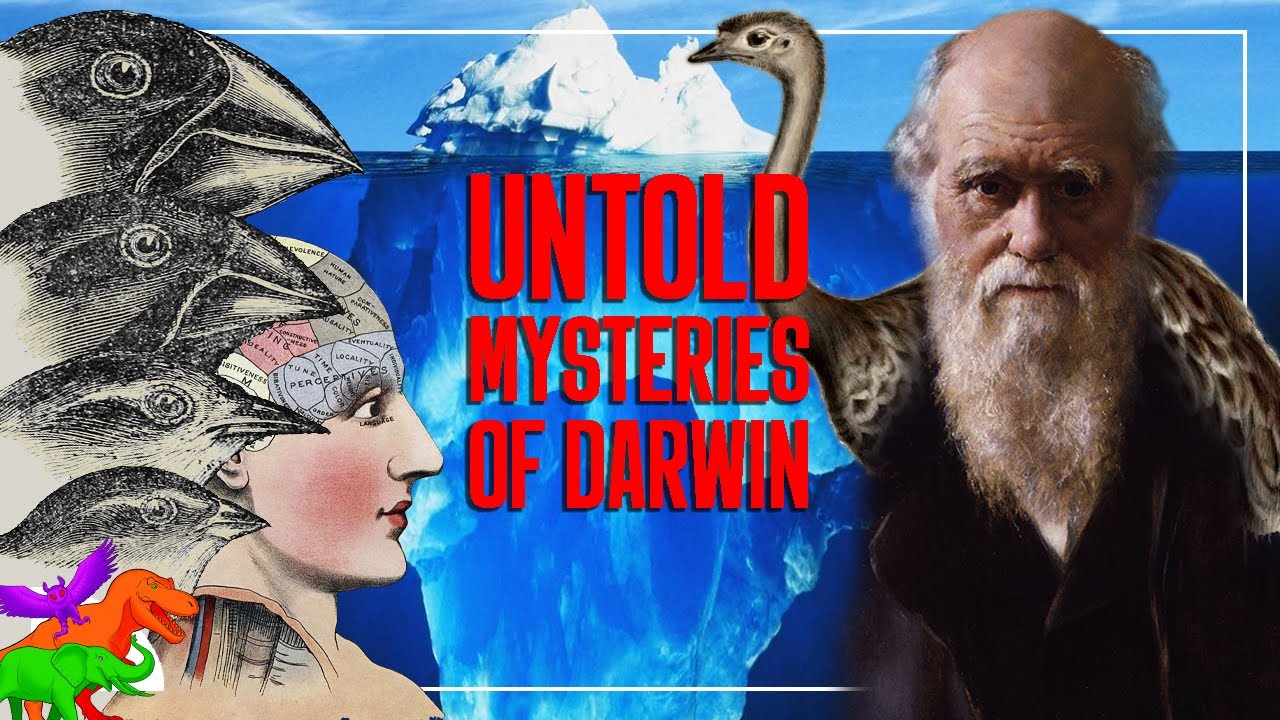 The Darwin & Evolution Iceberg Explained | Part 1
