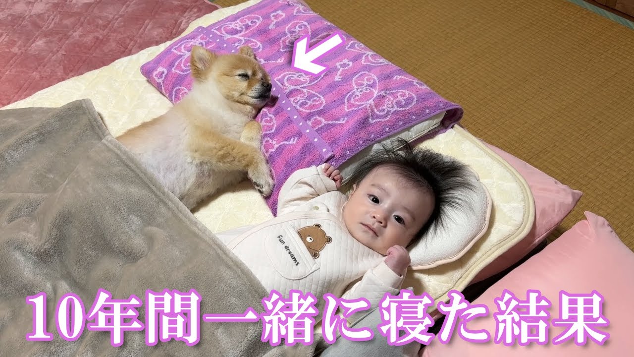 【モニタリング】10年間一緒の布団で寝てきた結果こうなりました&hellip;