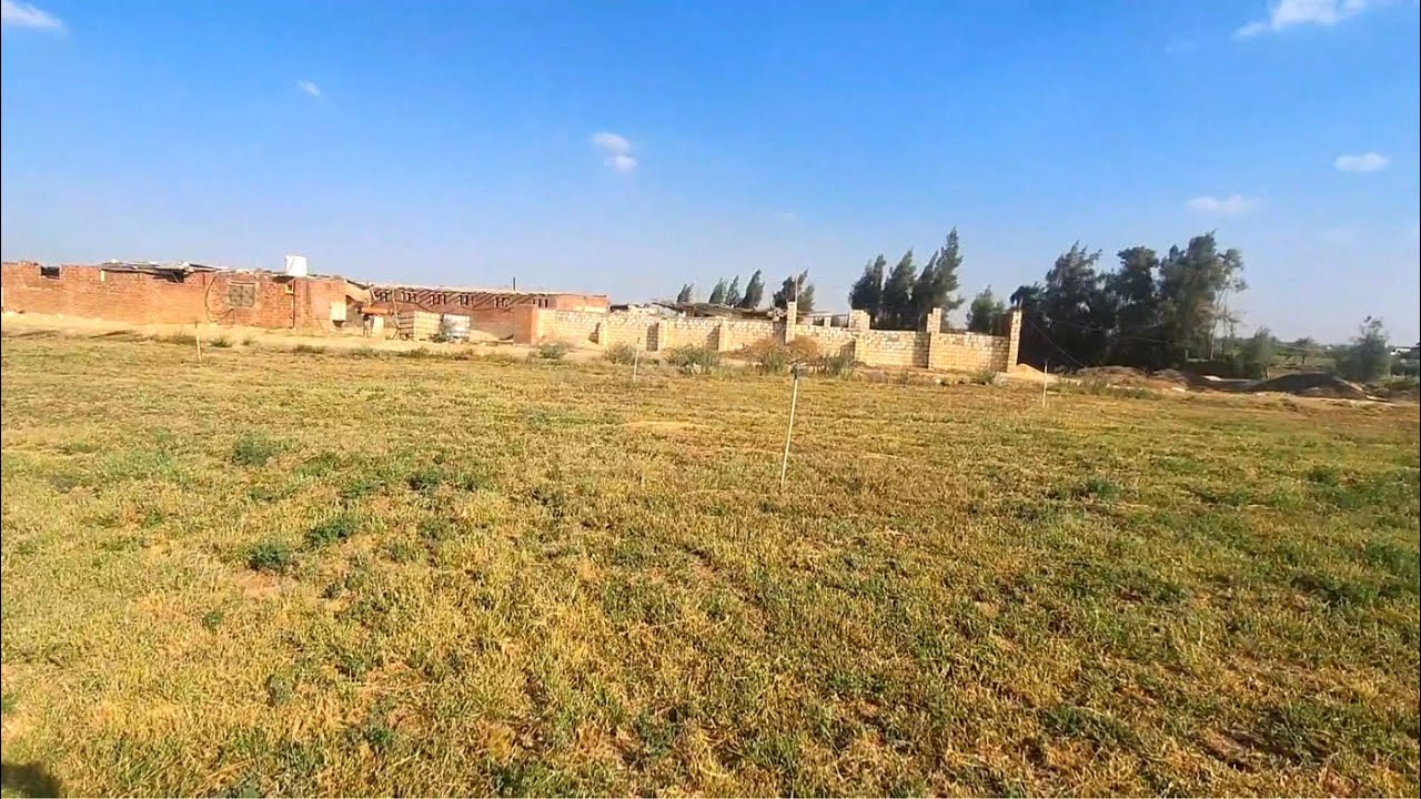 مزرعة 25 فدان للايجار في وادي النطرون طريق مصر اسكندرية الصحراوي