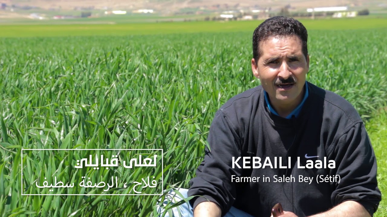 Use of #conservation_agriculture in crop-livestock systems (CLCA).....مشروع استعمال الزراعة الحافظة