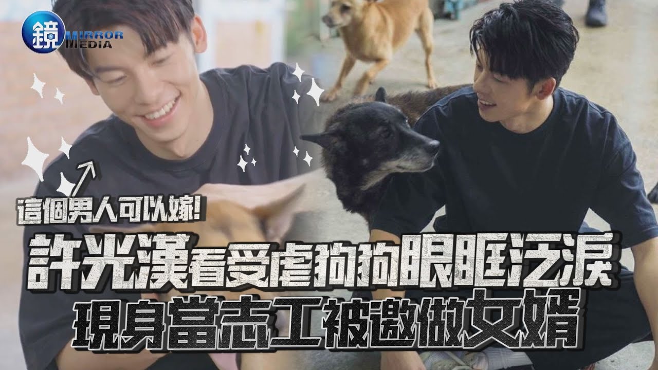 這個男人可以嫁！許光漢看受虐狗狗眼眶泛淚 現身當志工被邀做女婿｜鏡週刊 鏡娛樂即時
