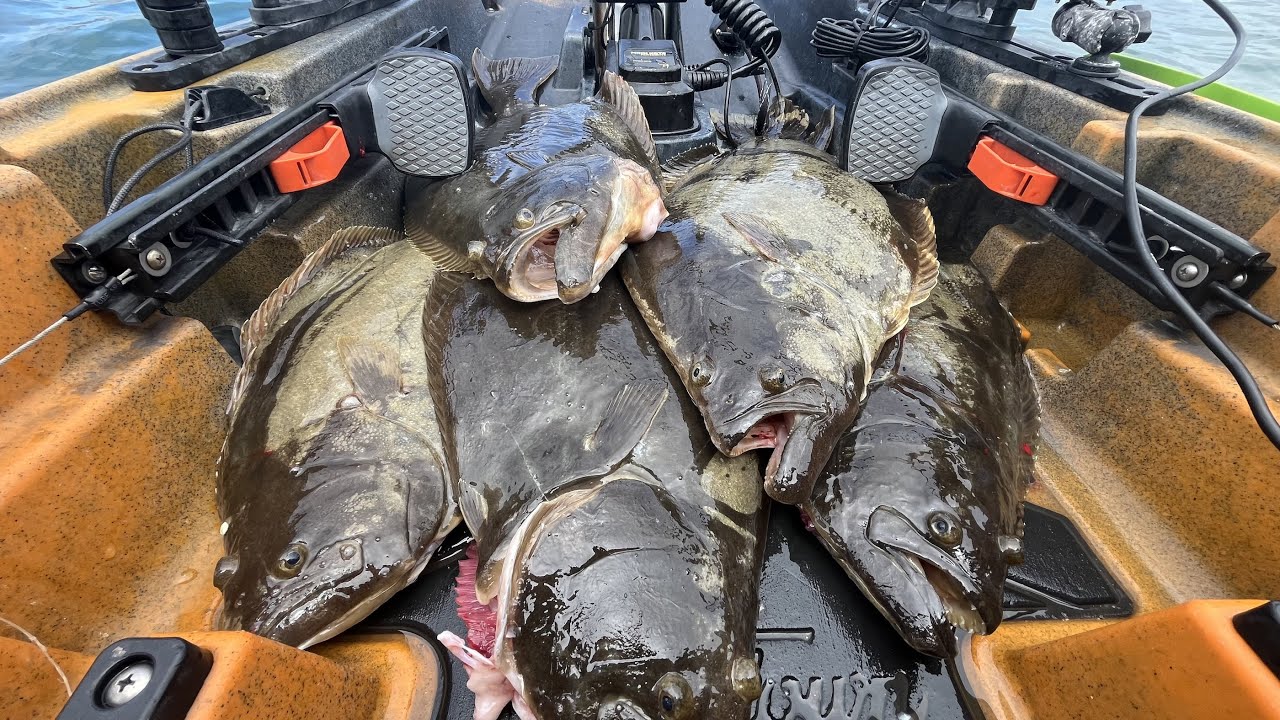 Filling My Kayak with FRESH CALIFORNIA HALIBUT (Bite was on FIRE!)