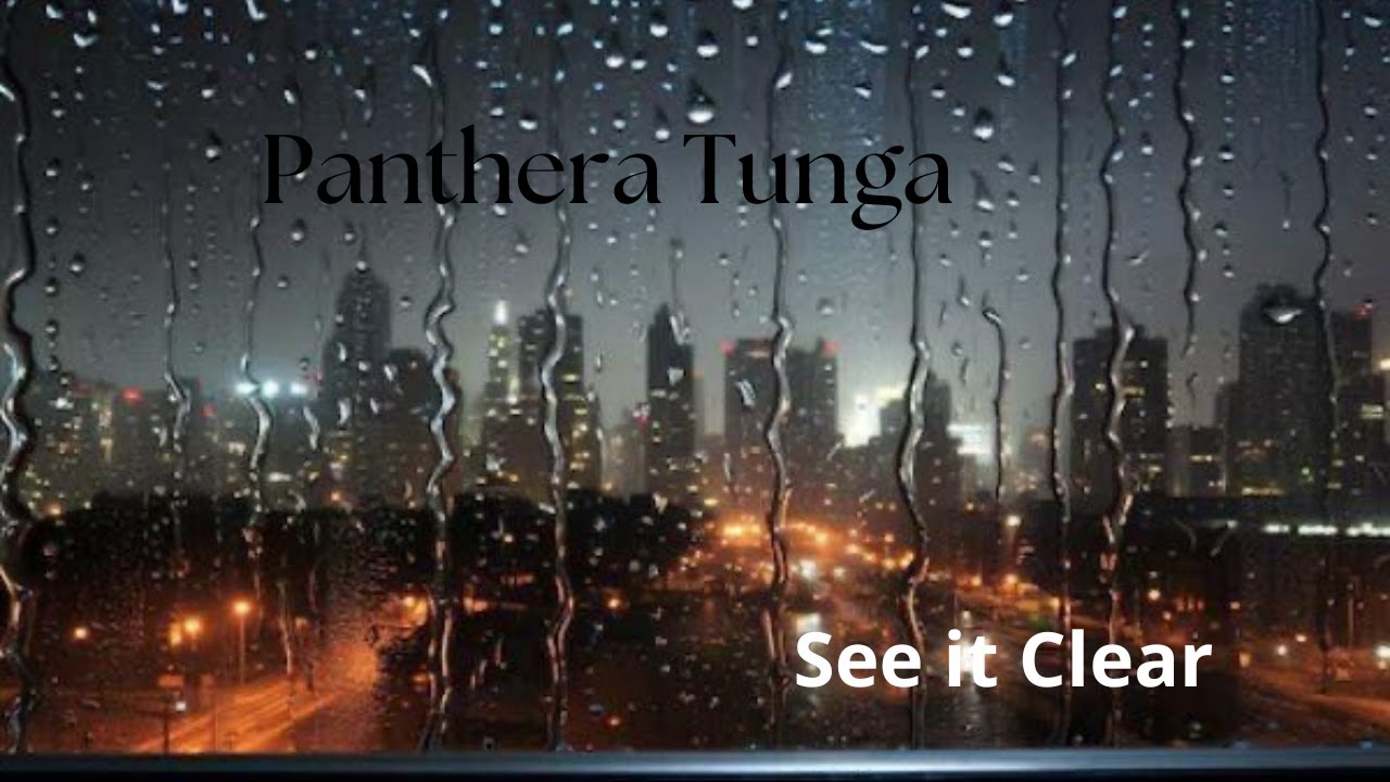 Panthera Tunga - See it Clear
