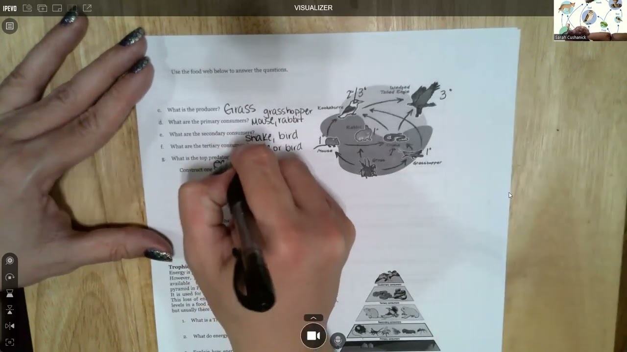 Ecology Study Guide