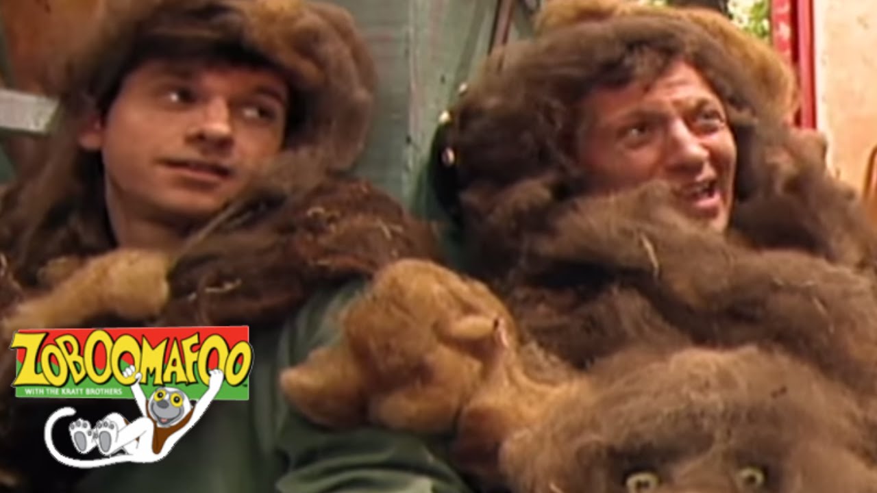 Zoboomafoo 138 - The four F's | HD | Full Episode