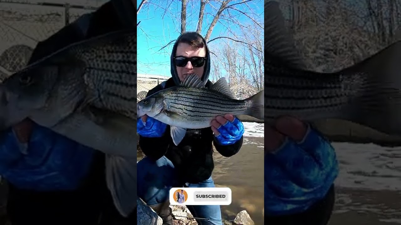 Nice Wiper from a SPILLWAY!! #shorts
