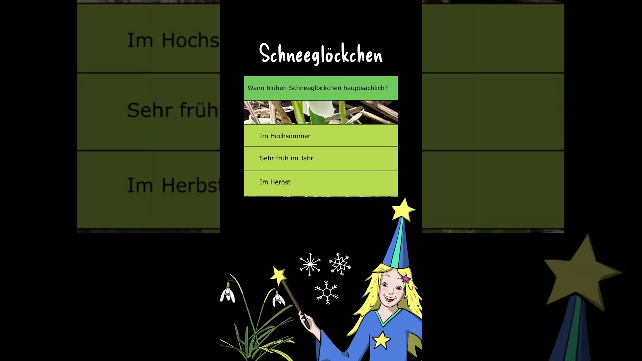 Wann blühen Schneeglöckchen eigentlich? 🌱❄️