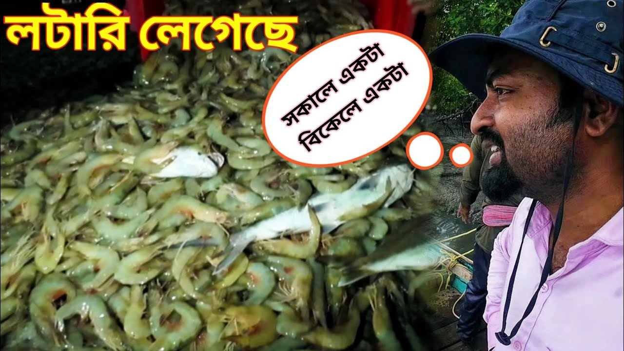 আজ দুটো লটারি লাগলো সকালে একটা বিকেলে একটা। জাল ভর্তি মাছ।😊