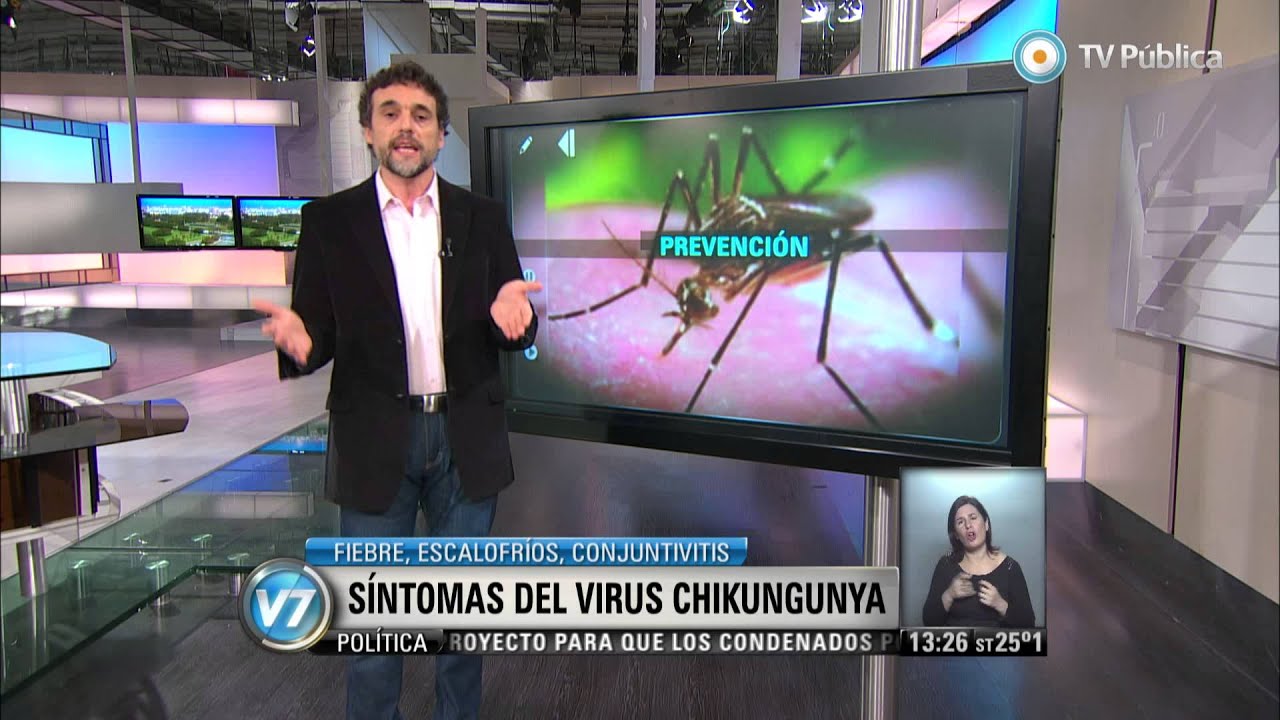 Visión 7 - Síntomas y prevención del virus Chikungunya