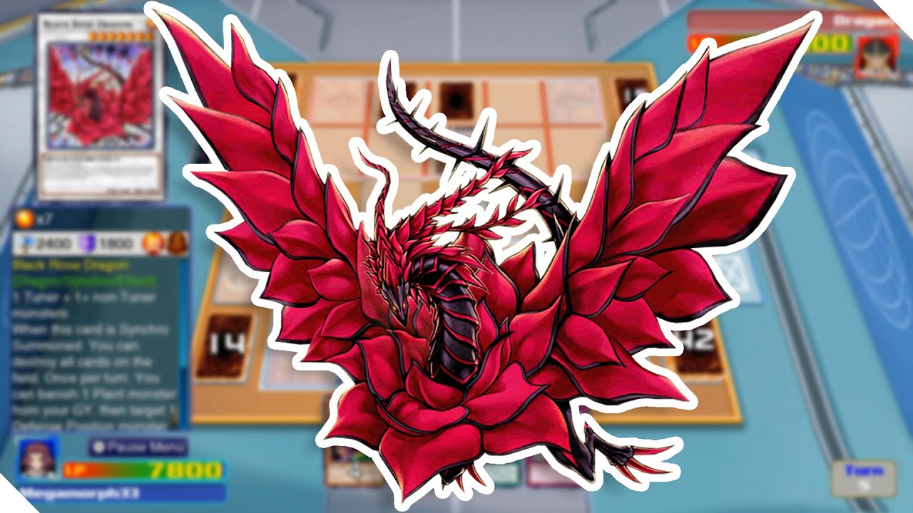YU-GI-OH! LEGACY OF THE DUELIST LINK EVOLUTION - Black Rose Dragon!