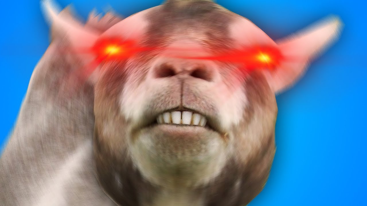 This Is Your Brain On GOATS