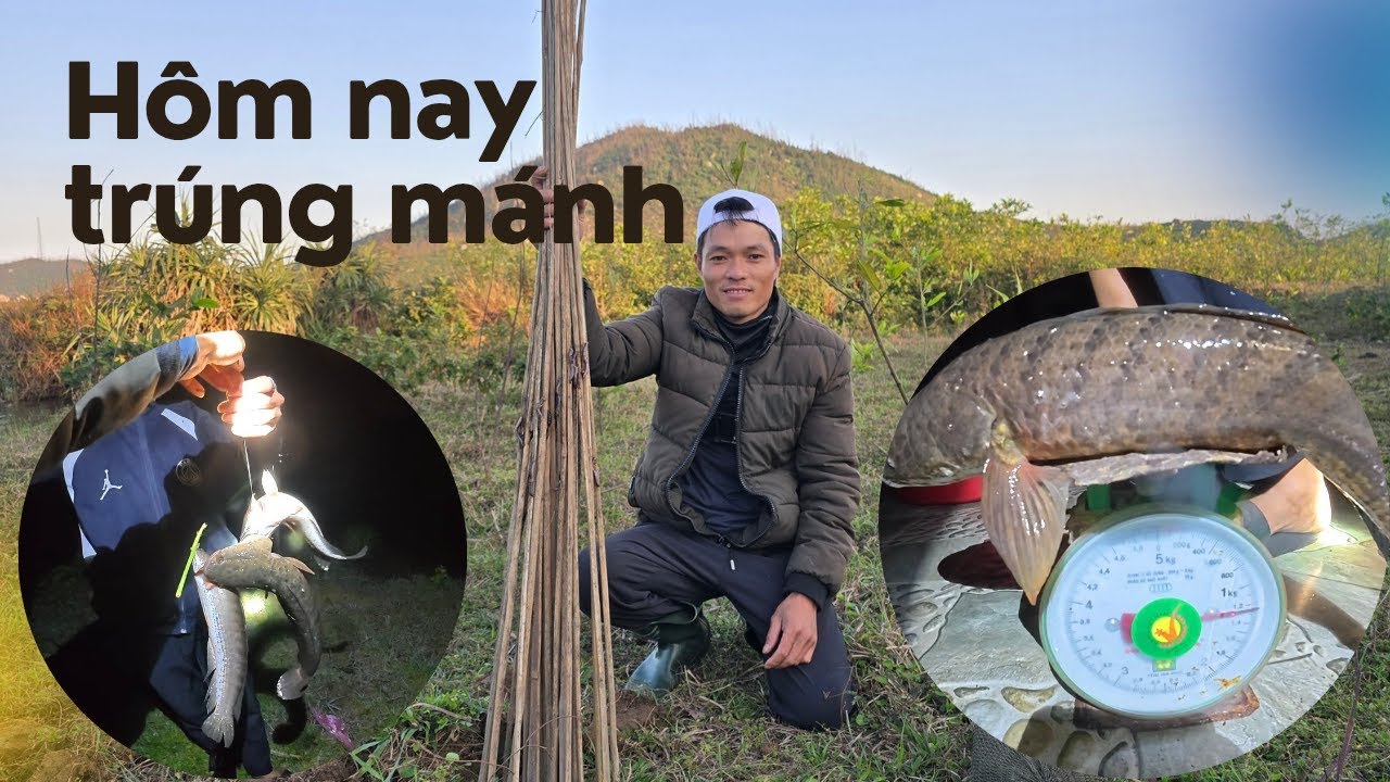 Cắm Câu Cá Đêm - Không Ngờ Dính Hàng Khủng