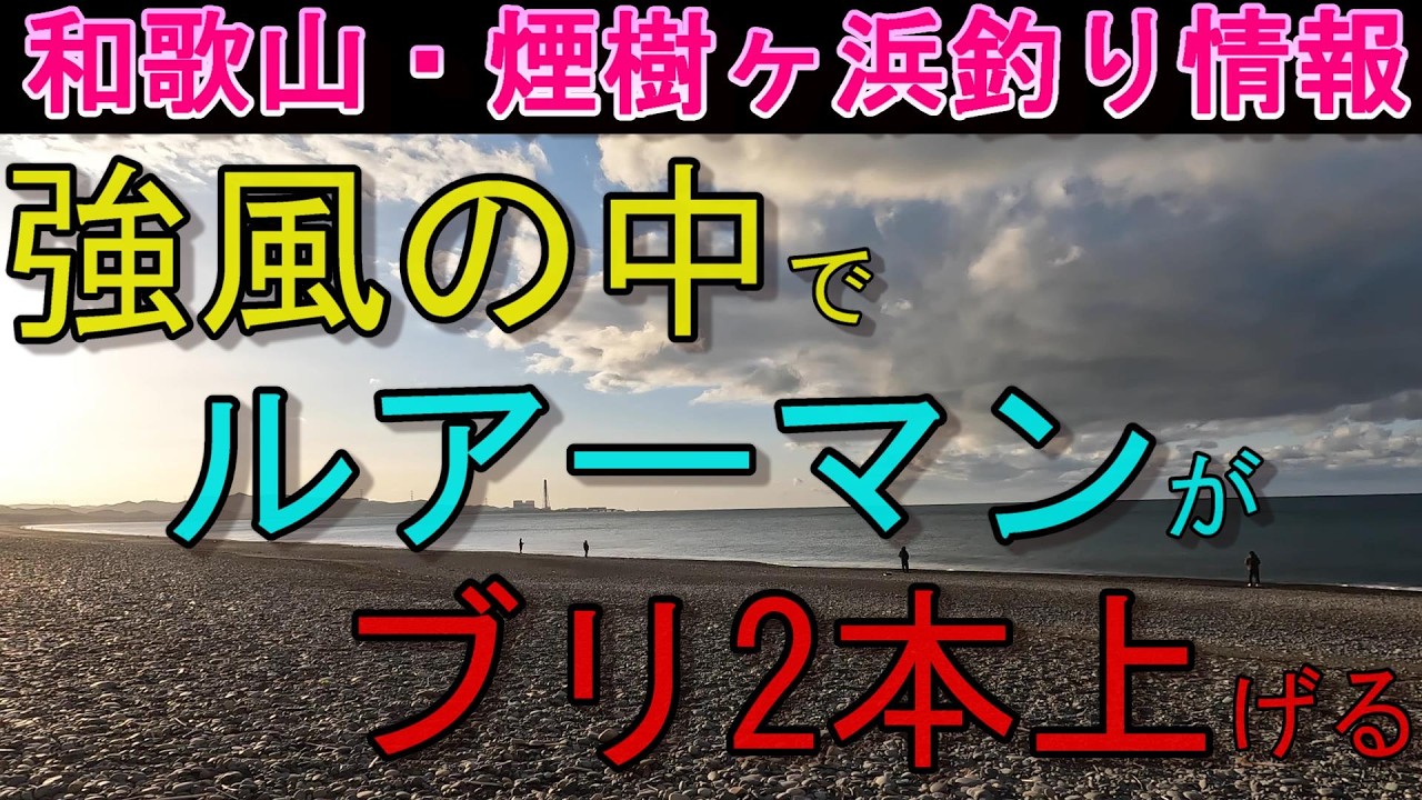 03-04　煙樹ヶ浜釣り情報・取材編【第1534回】強風の中でルアーマンがブリを２本上げる。#ブリ二本 #両軸遠投カゴ釣りり ＃遠投カゴ釣り #和歌山・釣り #煙樹ヶ浜