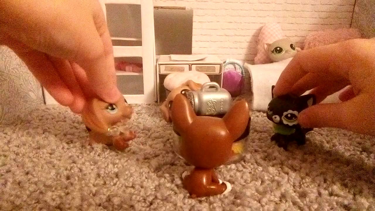 Littlest Pet Shop LPS - Impreza 2 (po polsku)