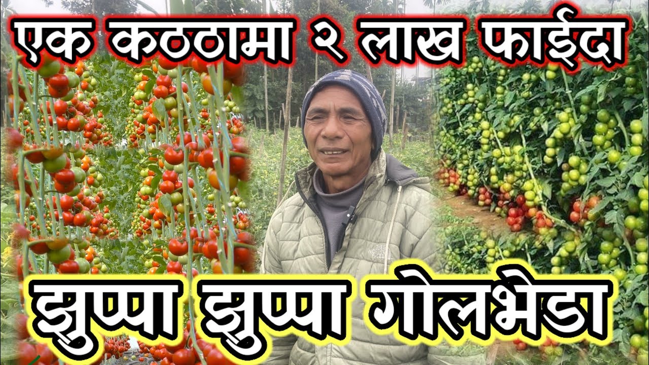 सबै खर्च कटाएर बर्षको  दुई लाख फाईदा त्यो पनि एक कठठामा