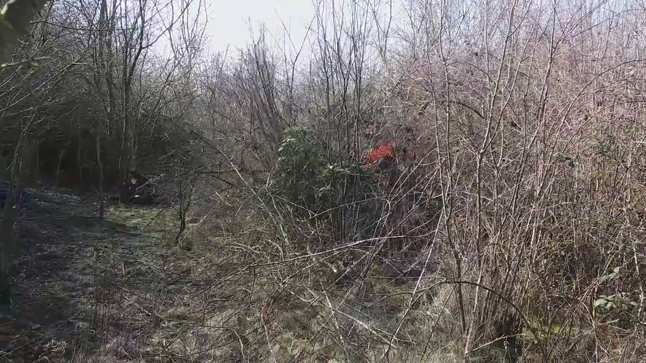Grillo Climber 10 AWD 27 vs bushy land (2)
