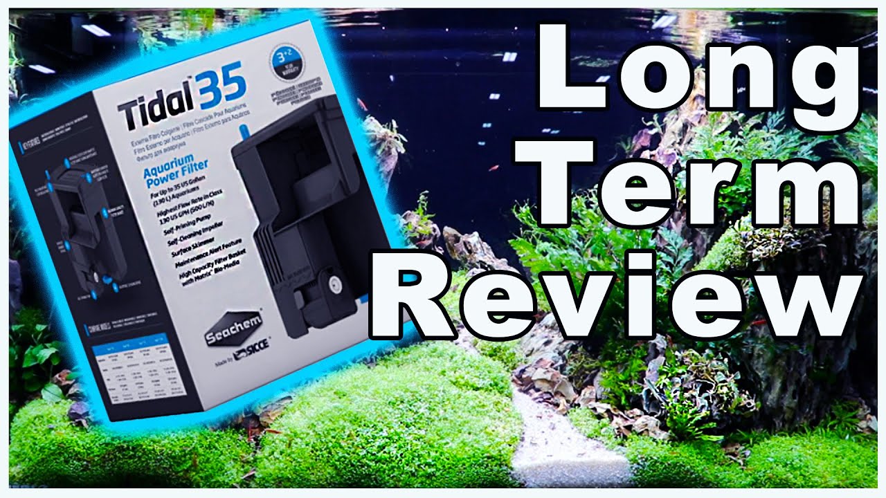 Seachem Tidal 35 Hang on Back Aquarium Filter: Long Term Review