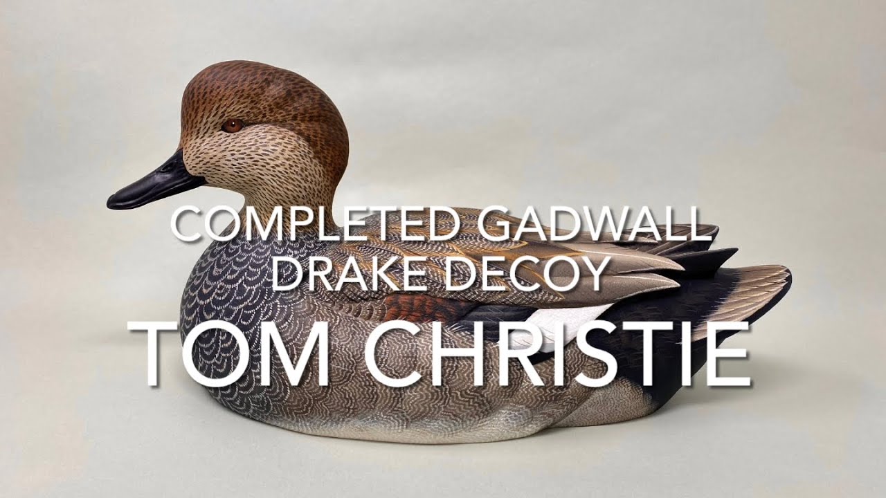 Gadwall Drake Decoy Completed