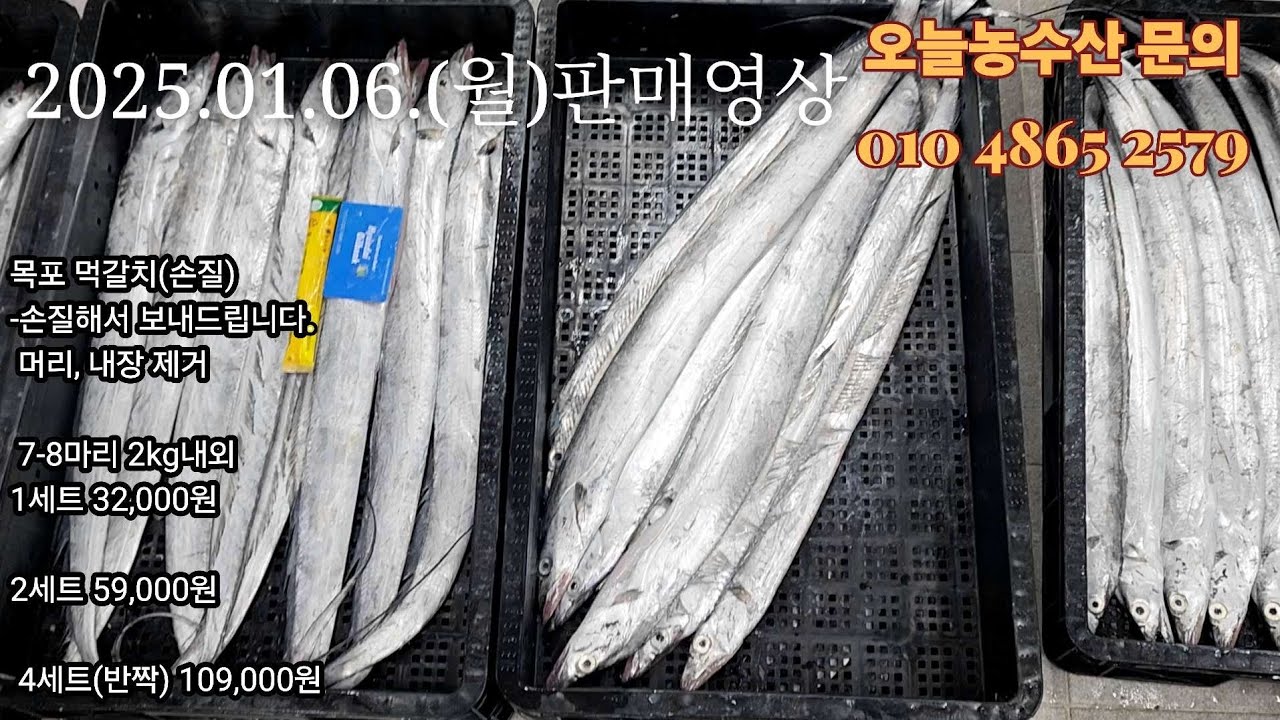 먹갈치 홍어 드세요^^ 25.01.06.(월) 판매영상  2kg 3만2천 8마리 홍어 5kg 5만9천 #목포 #생선 #갈치