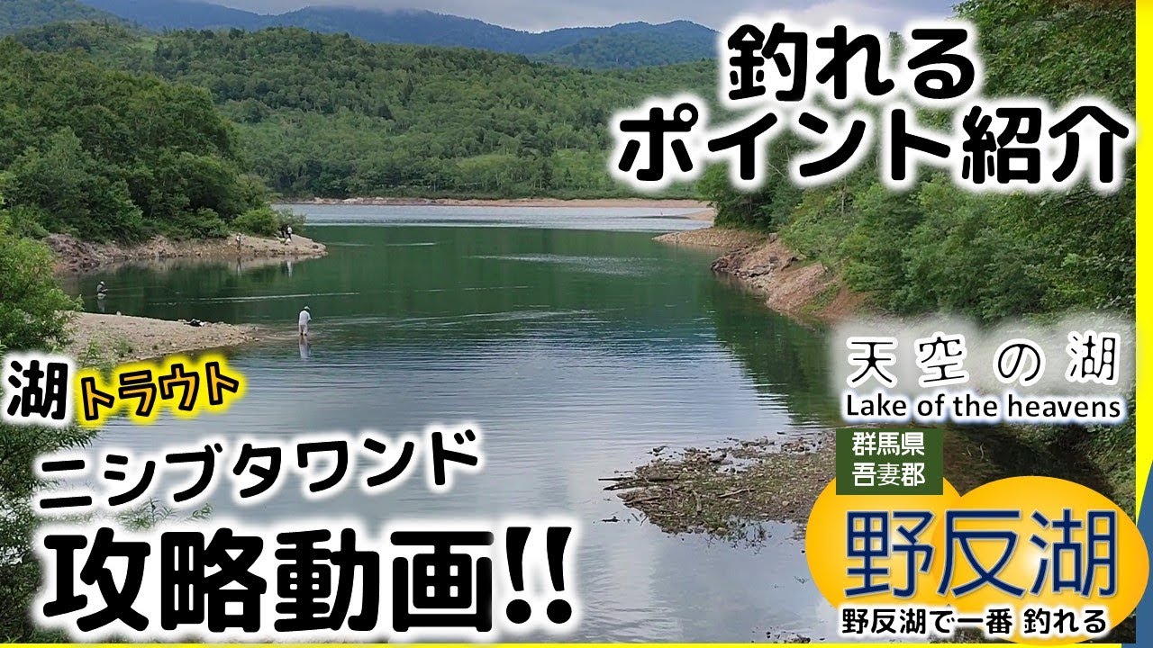 【群馬野反湖】野反湖で簡単に釣るニシブタワンド攻略動画/Lake Nozori. NishibutaWand is the best place to fish #群馬トラウト #野反湖トラウト
