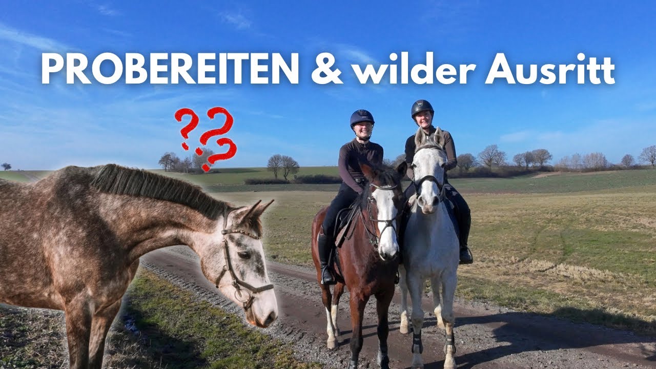 Probereiten & wilder Ausritt 😱😂