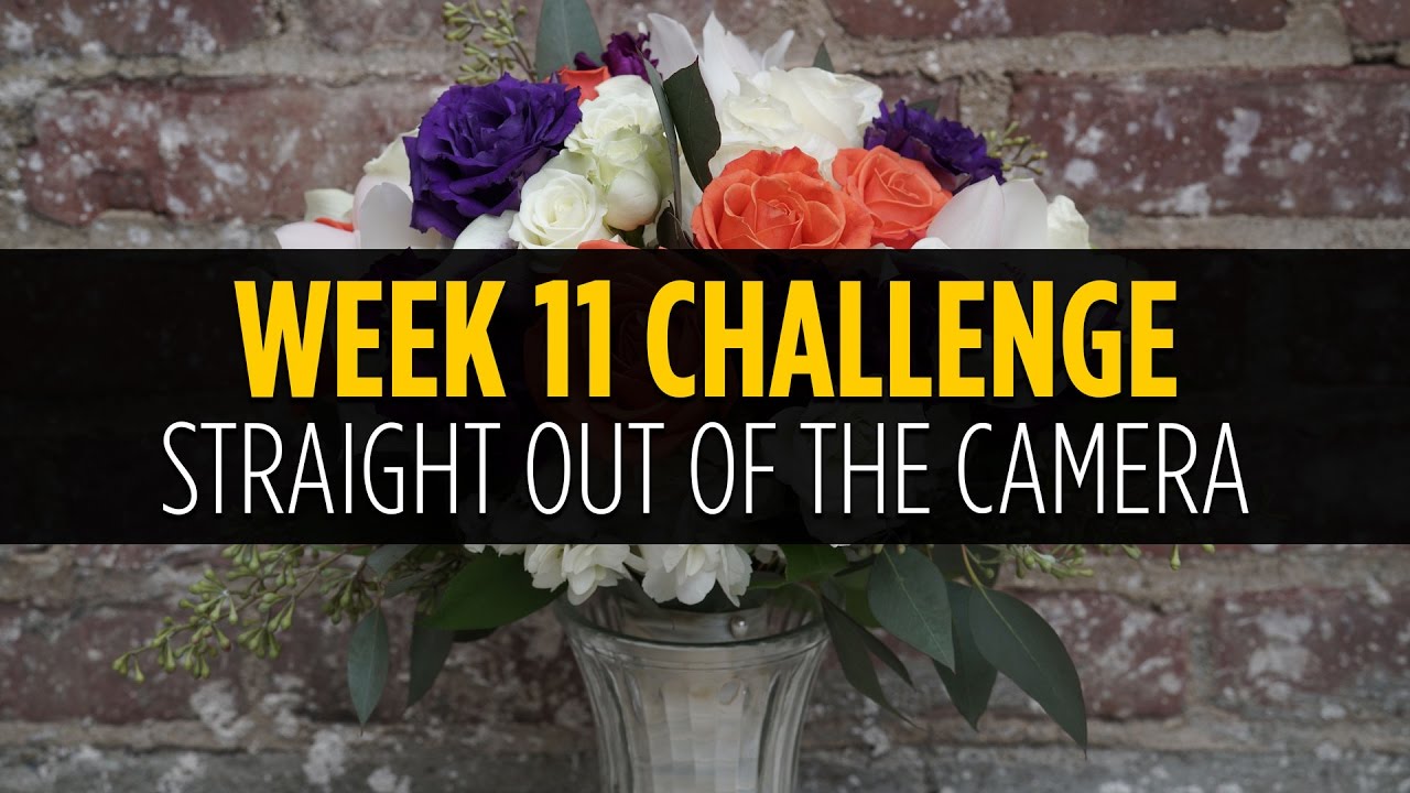 Week #11 - Straight Out of the Camera - Photography Challenge