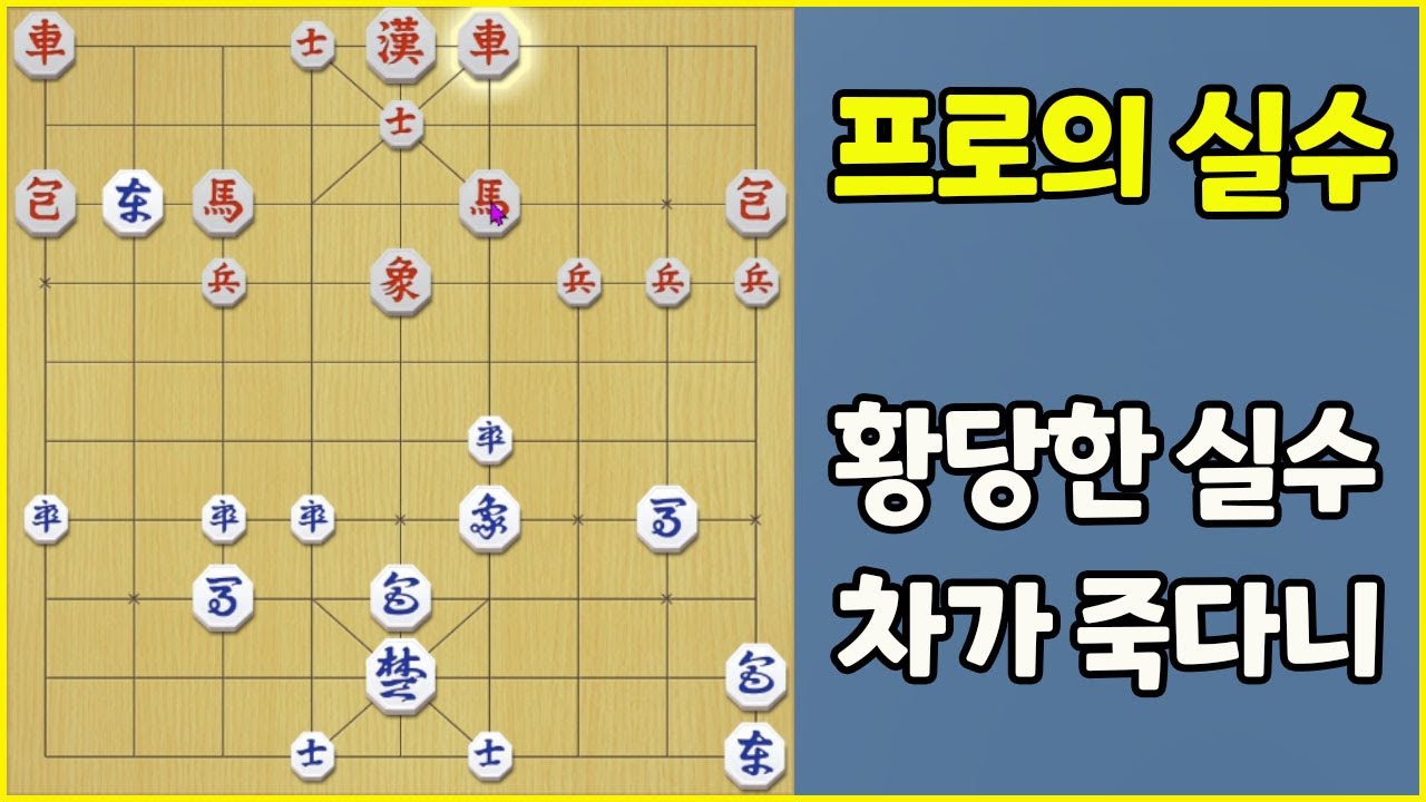 프로의 황당한 실수로 차가 죽다니.... (슈이비닝 장기)