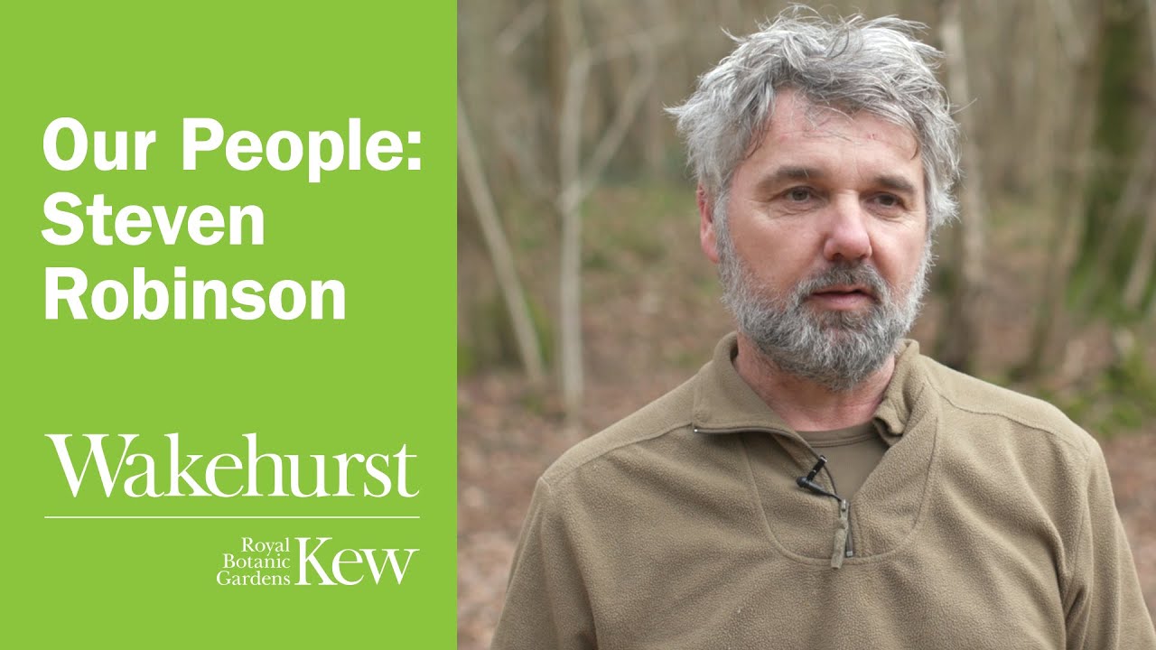 Our People: Steven Robinson