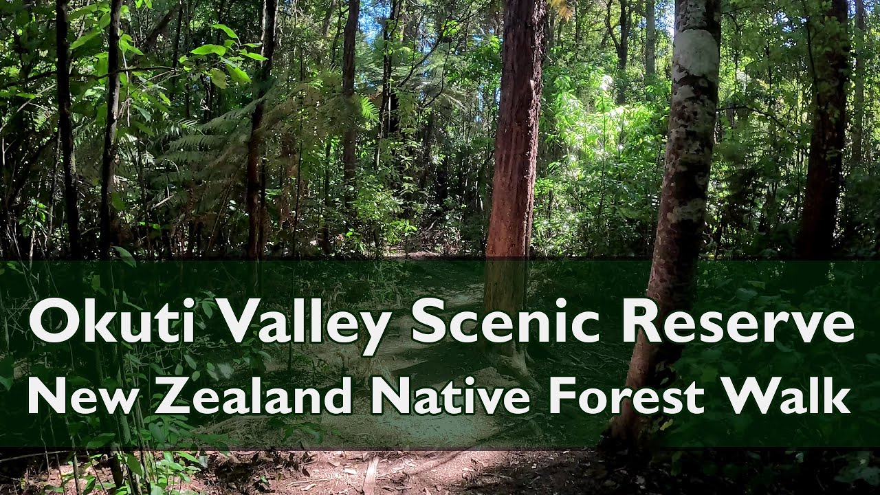 Okuti Valley Scenic Reserve NZ Native Forest Walk