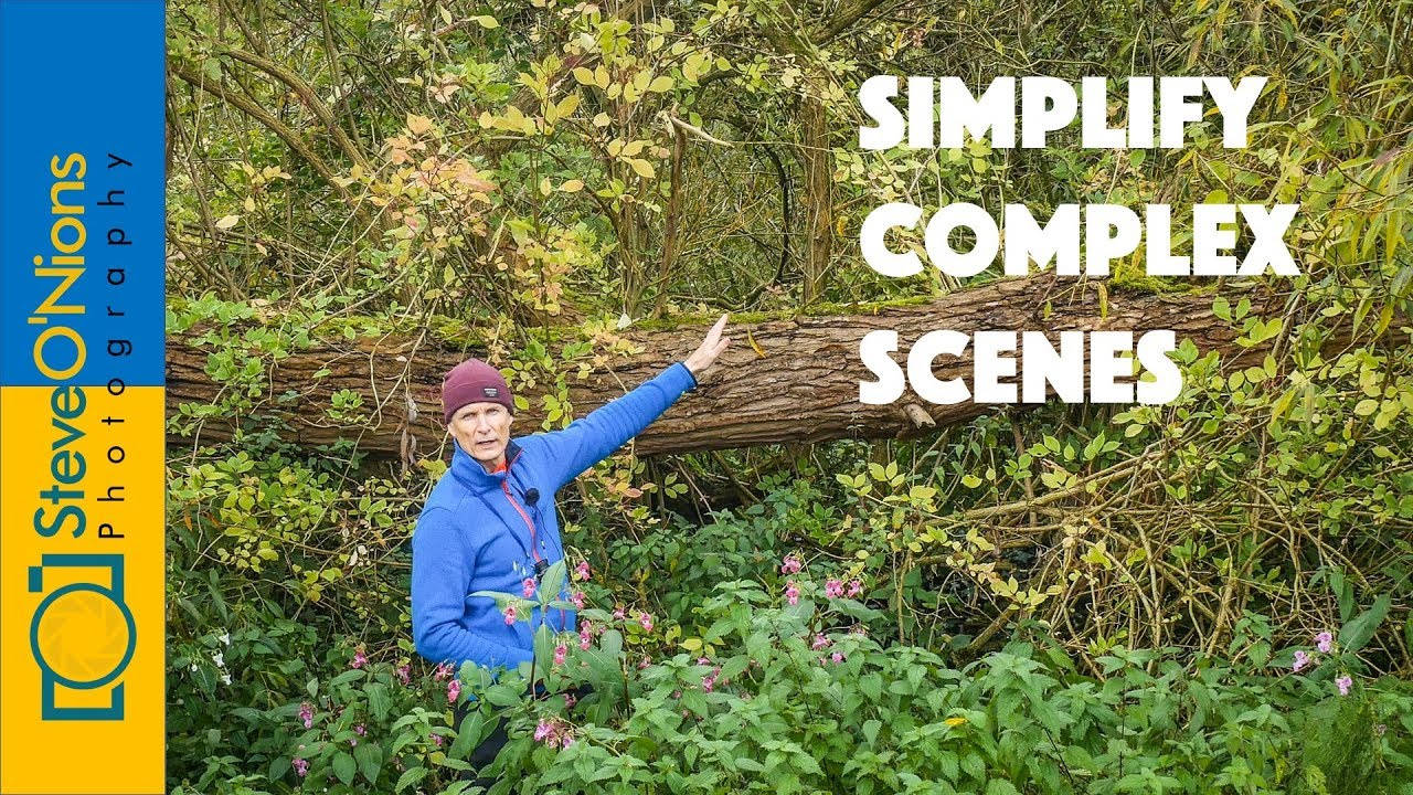 Film Photography - Crop In and Simplify Compositions