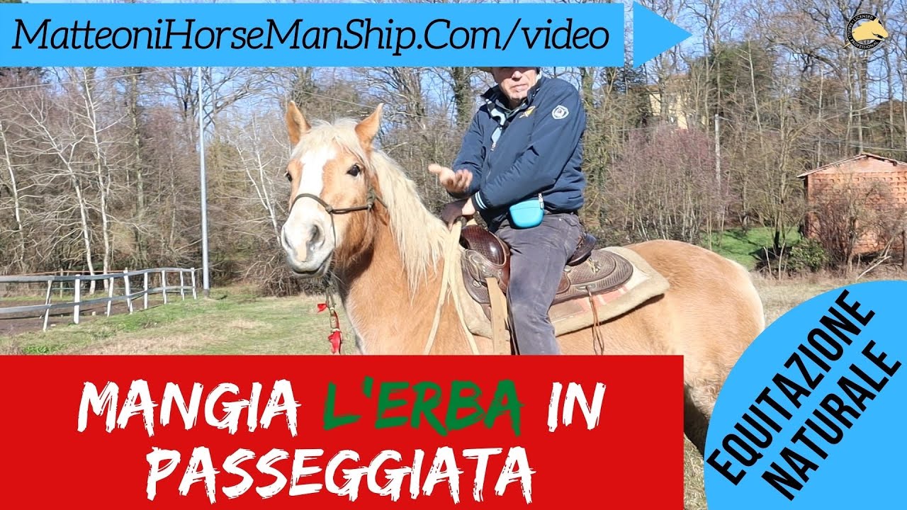 E se il cavallo mangia l'erba in passeggiata