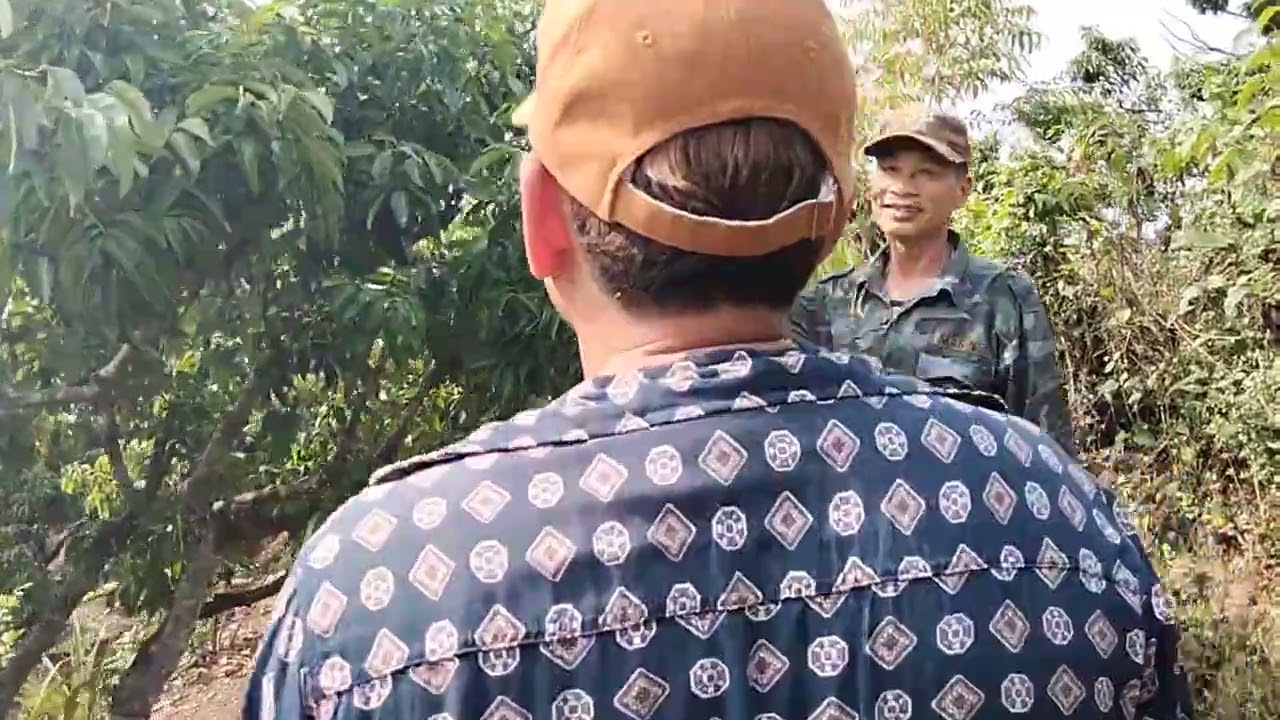 Gặp gỡ hai anh em có vườn vải đẹp 
