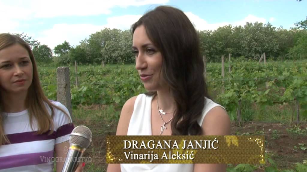 Tamnjanika - Vinarija Aleksic