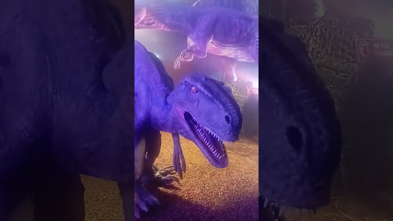 Je visite le exposition découverte de dinosaure 