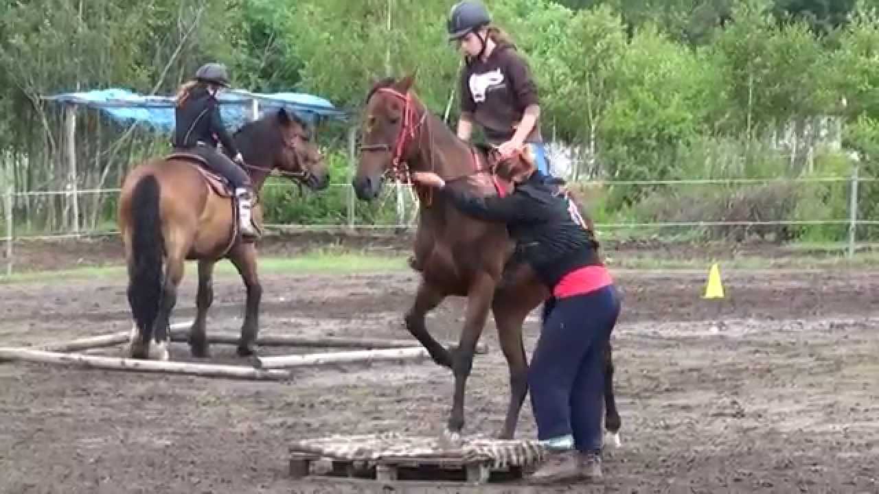Ujezd tabor kone 2014