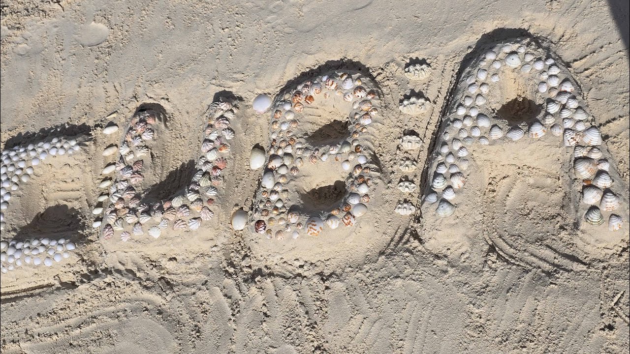 Hotel Playa Paraiso 2024