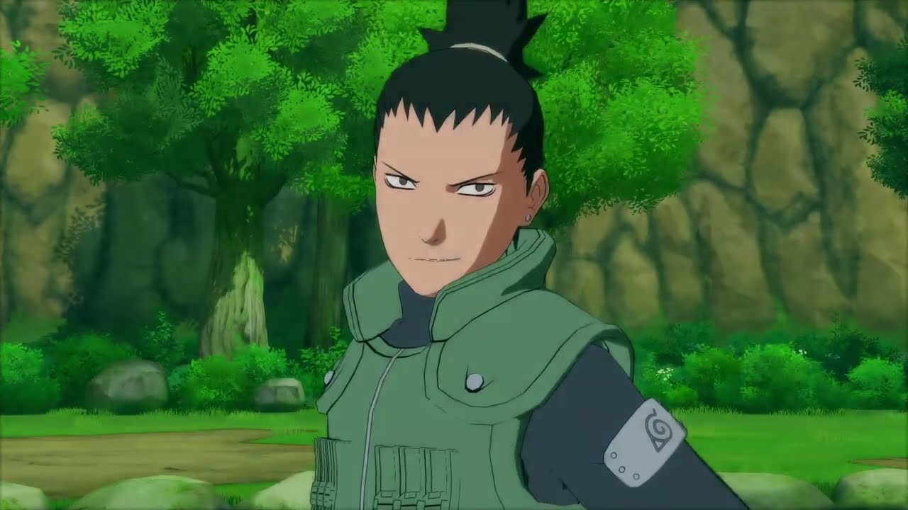 Shikamaru Nara vs Kiba Inuzuka