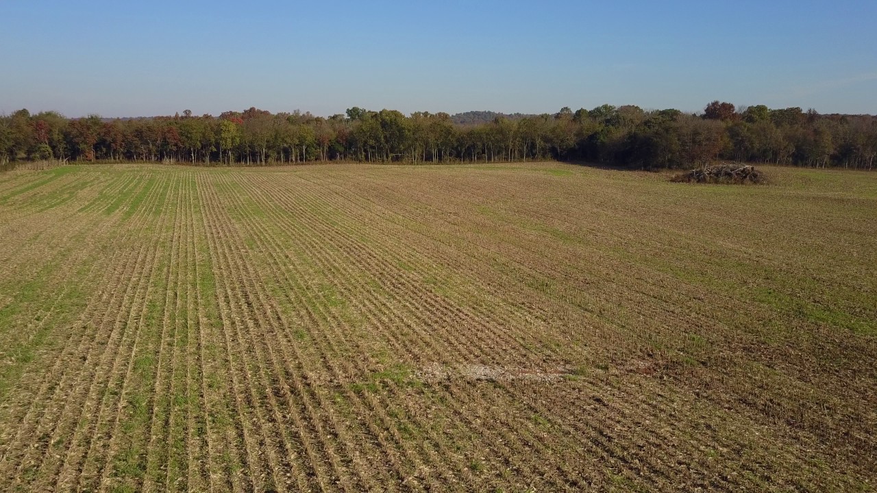 Free 4K Aerial Stock Footage of fresh cut corn farmland