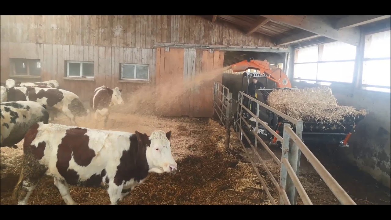 Paillage logettes et aire paillée avec valet 48 Cv.