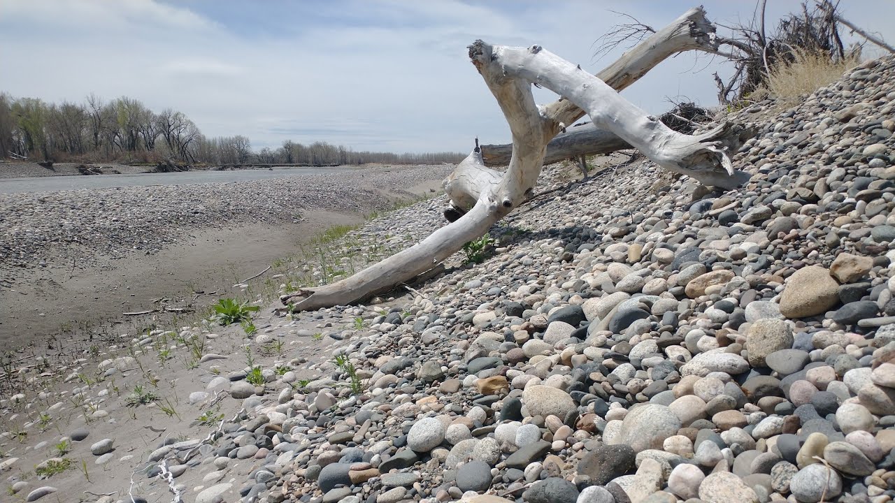 Rockhounding Out East On The Yellowstone River] We Find Agates,Jaspers,Fossils and Petrified Wood!