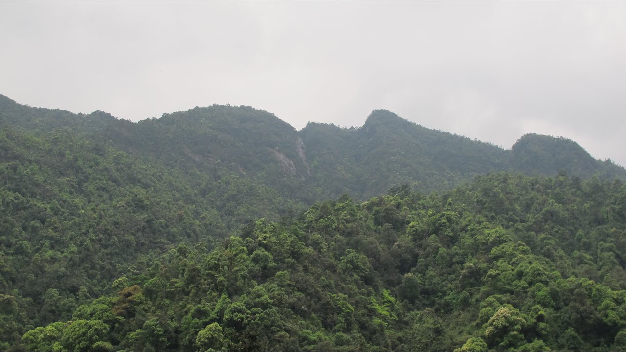 2016 4 13 姑婆山 廣西賀州