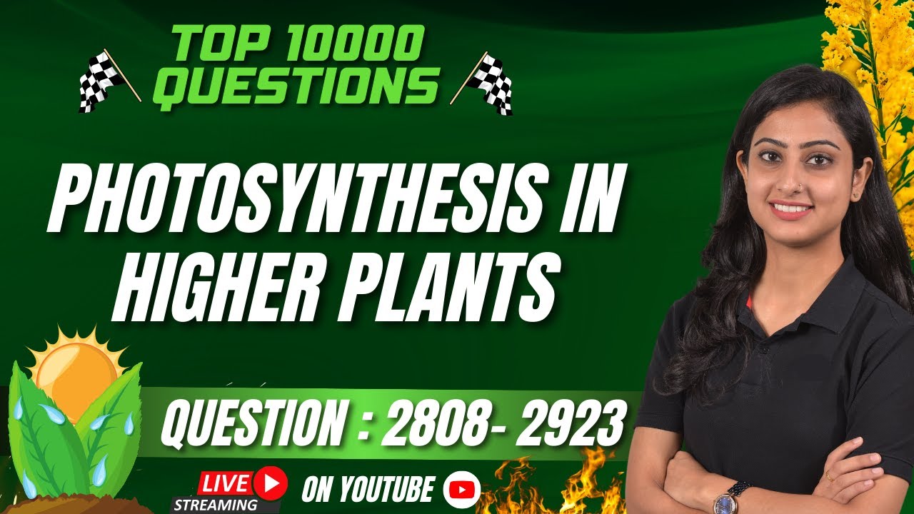 Photosynthesis in Higher Plants | TOP 10000 QUESTIONS | NEET Biology | NEET 2024