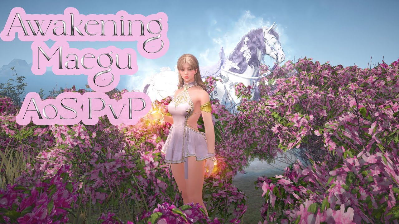 sophomore | AoS PvP | an awakening maegu montage 💗