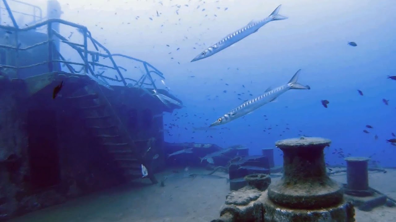 Malta Dive Sites - Um El Faroud, Wied iz-Zurrieq