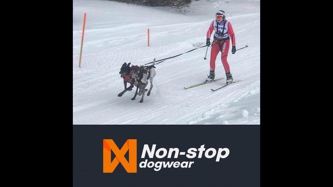 2019 Three Bear Sled Dog Race 2-Dog Skijor