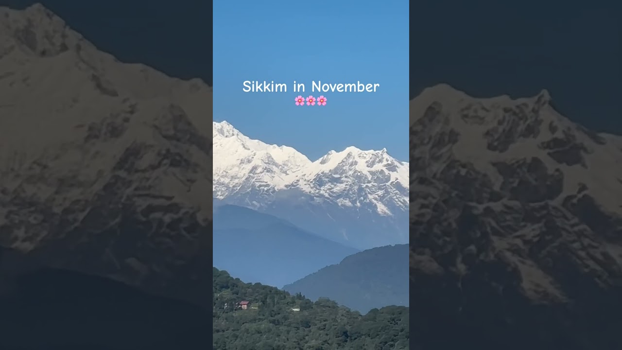 Sikkim in November🌸 #visitsikkim #indianstate #travel #shortvideo #sikkimindia #travel #southsikkim