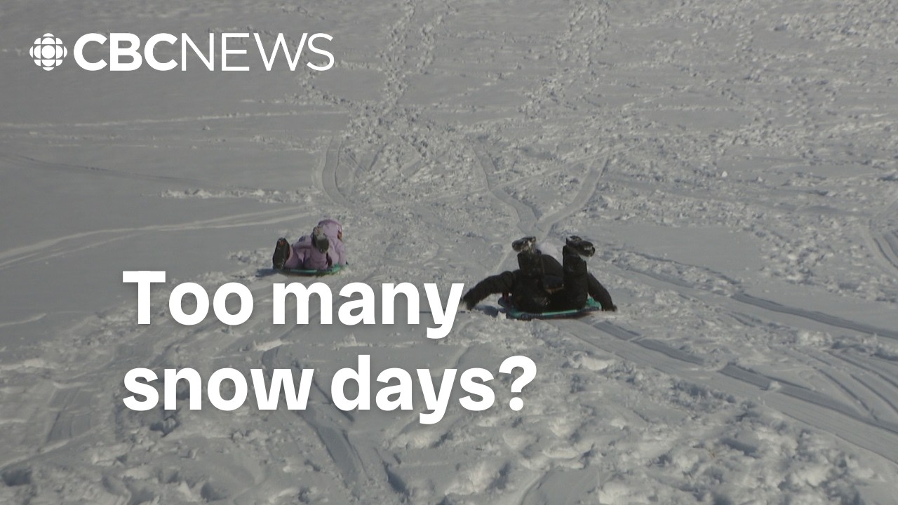 Too many snow days? P.E.I. school cancellations questioned