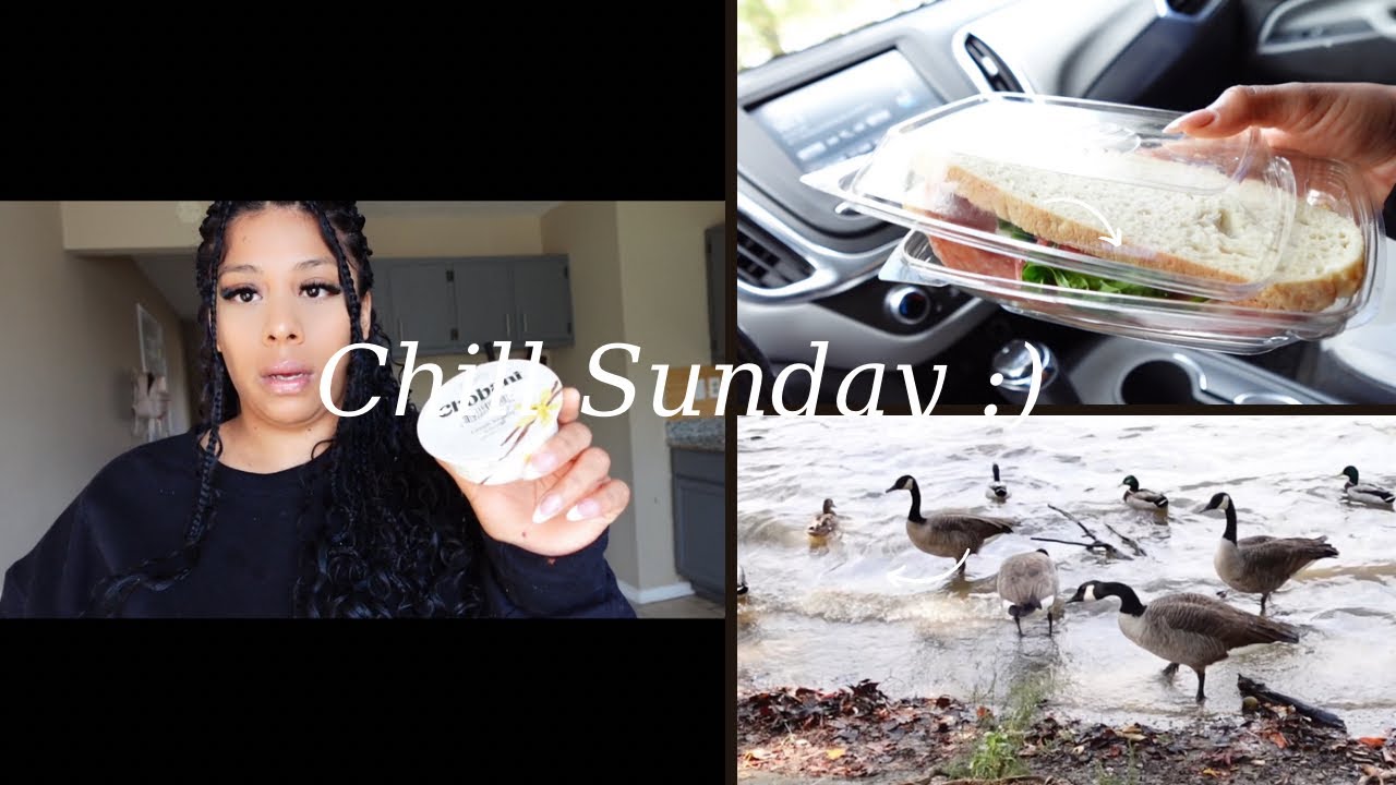 Reality feeds the ducks 🦆 |chill Sunday 